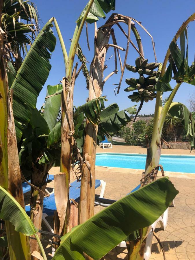 Finca Andalucia Conil De La Frontera Dış mekan fotoğraf