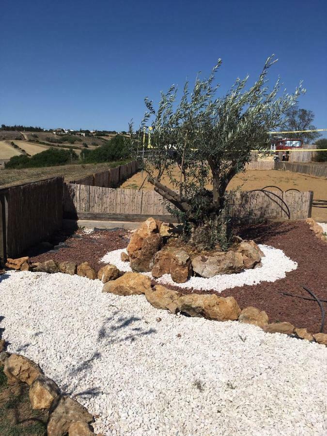 Finca Andalucia Conil De La Frontera Dış mekan fotoğraf