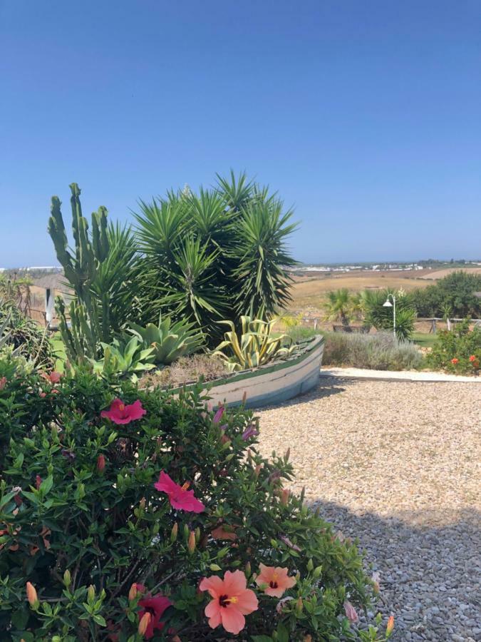 Finca Andalucia Conil De La Frontera Dış mekan fotoğraf